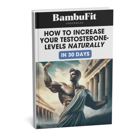 eBook - Testosterone Boost